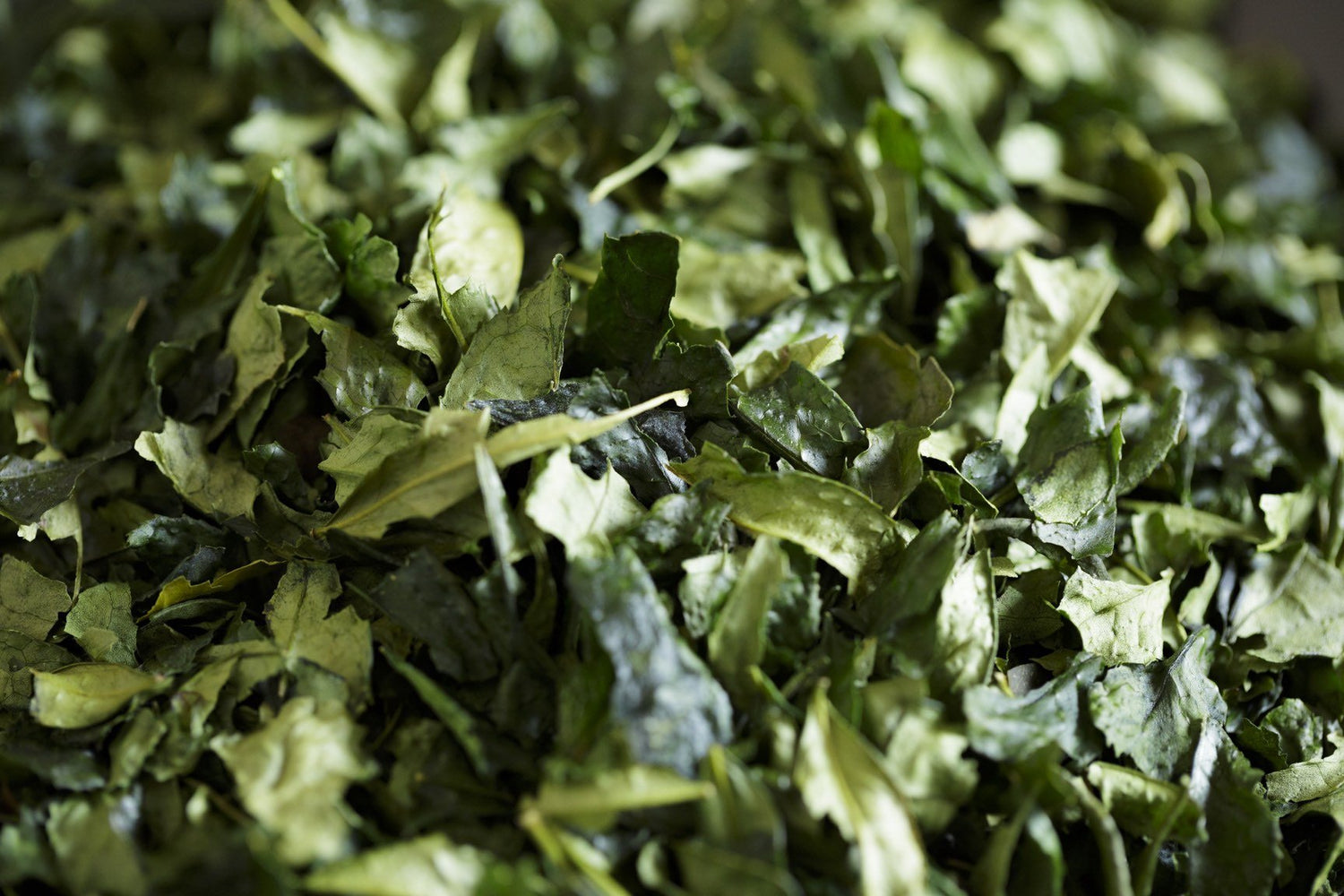 How much caffeine in Japanese matcha green tea? - MATCHA STAND MARUNI