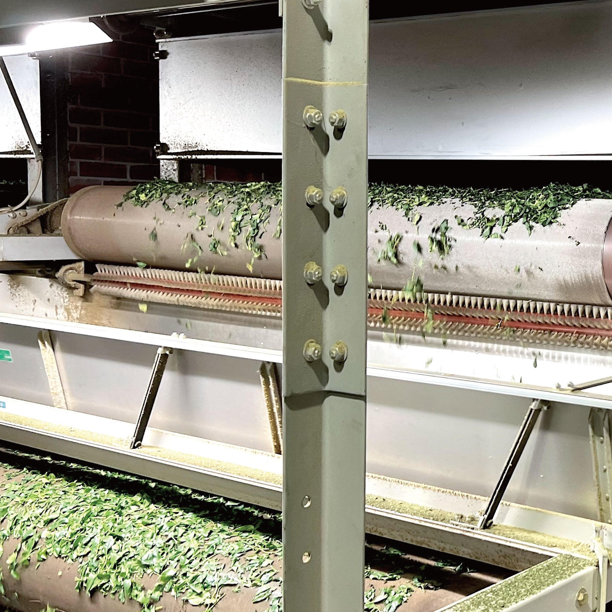 Premium Grade MIE 3.5oz (100g)|MATCHA STAND MARUNI - MATCHA STAND MARUNI