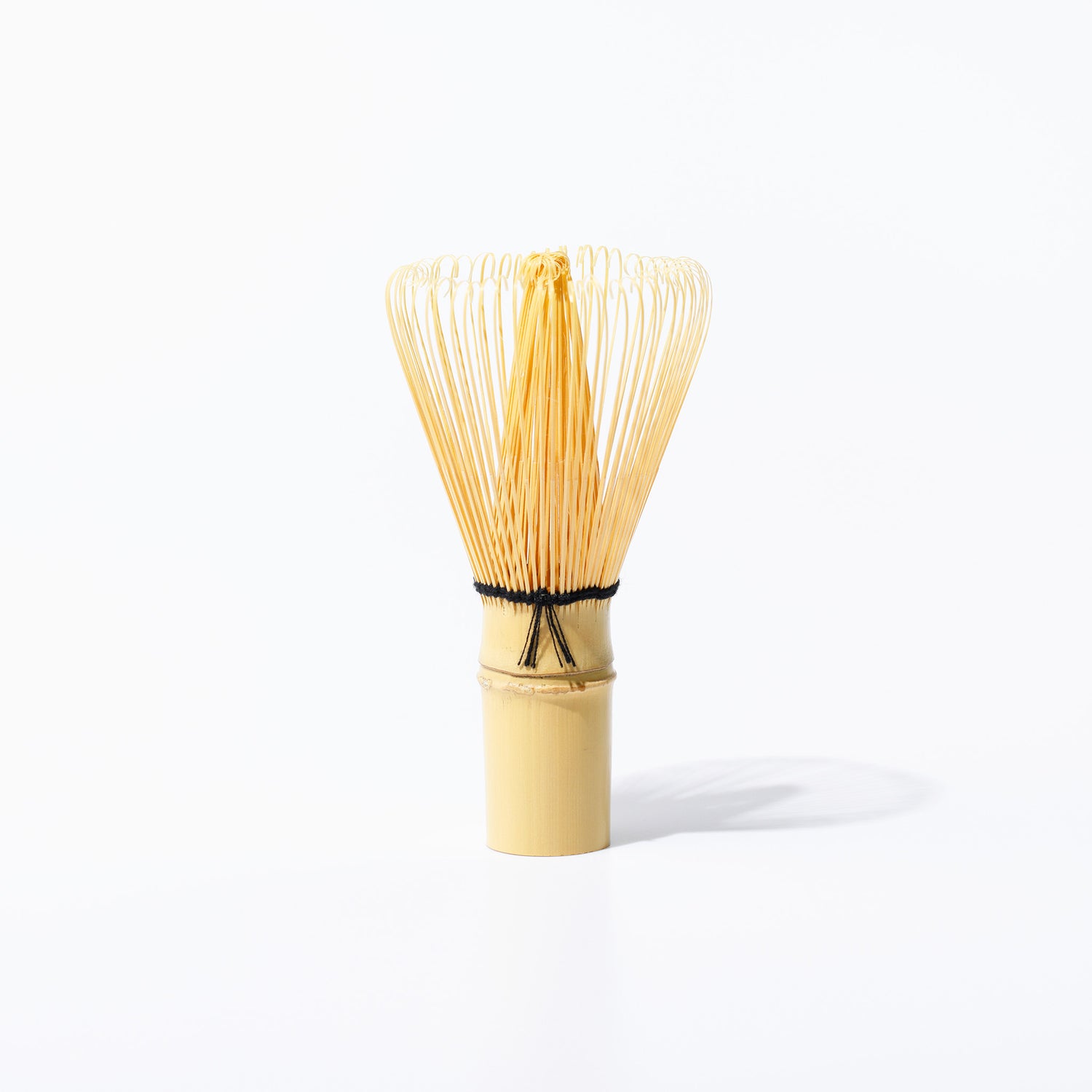 Chasen/Bamboo whisk 数穂 お稽古用 KAZUHO ｜CHIKURINDOU - MATCHA STAND MARUNI